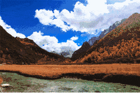 成为春天的颜色  桃树 手指一样,指着天空  指着东西南北中,这些枝条