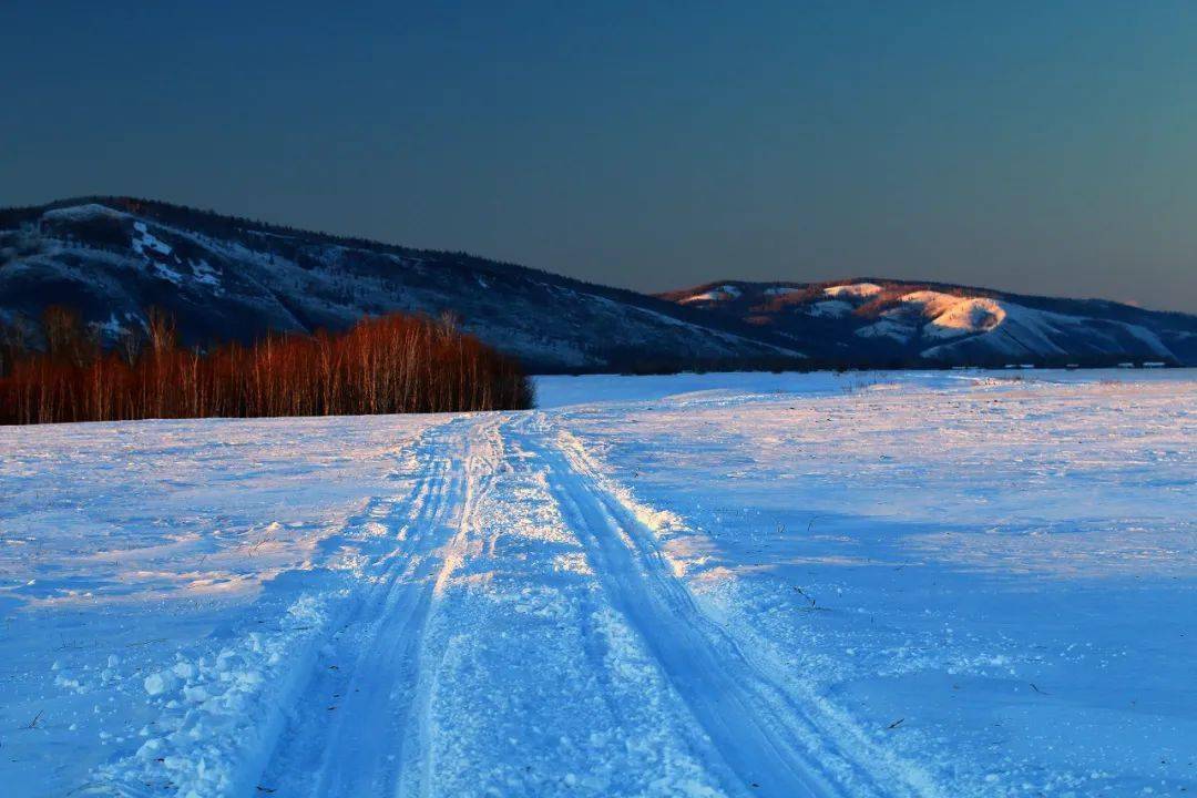 想和你一起去北方,親眼看著雪花落下