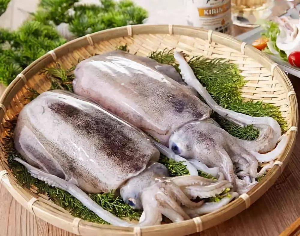 大墨鱼,肉质肥厚 口感爽滑,吃起来特别的弹牙