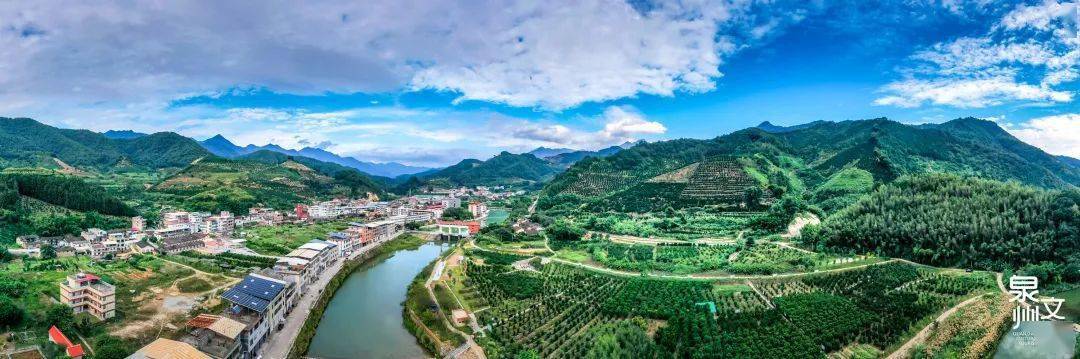 来诗画边城福田乡邂逅一场芦柑采摘节