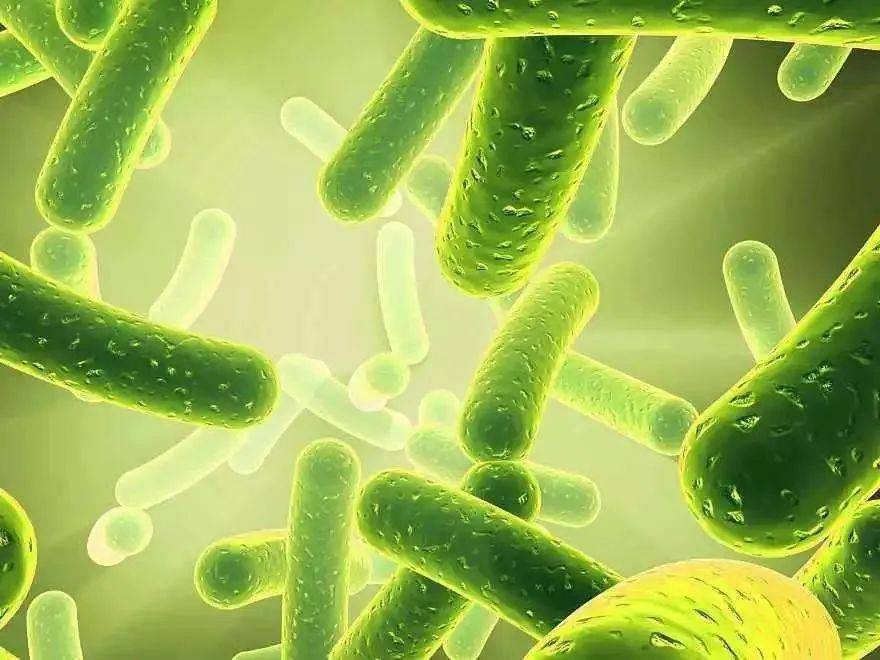 莱雅|理智的成分党都在用什么眼霜抗初老？