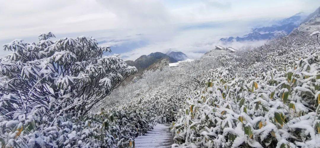 万源八台山雪景图片图片