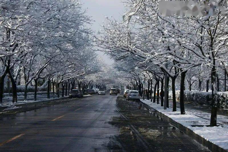 雨夹雪实图图片