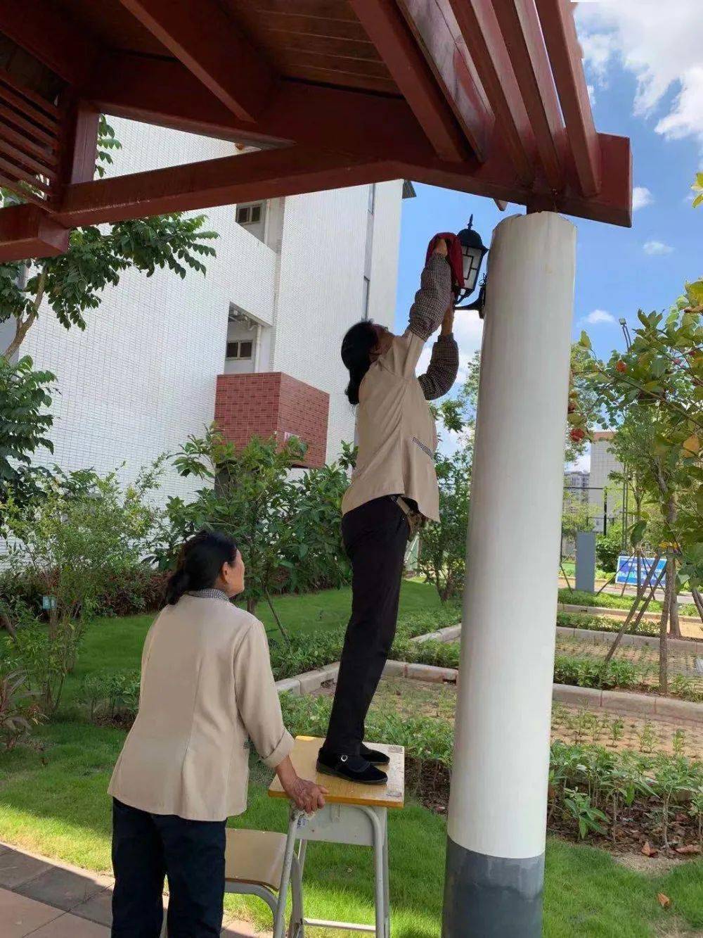 重庆学校后勤服务再升级：从食材到环境全方位优化