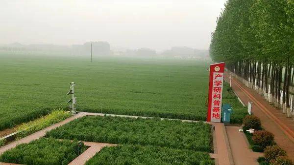 @河南人，新基建带来的“黑科技”，你爱了吗？