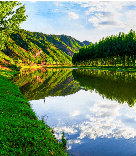 国家生态文明建设示范区——山西省临汾市安泽县_连翘