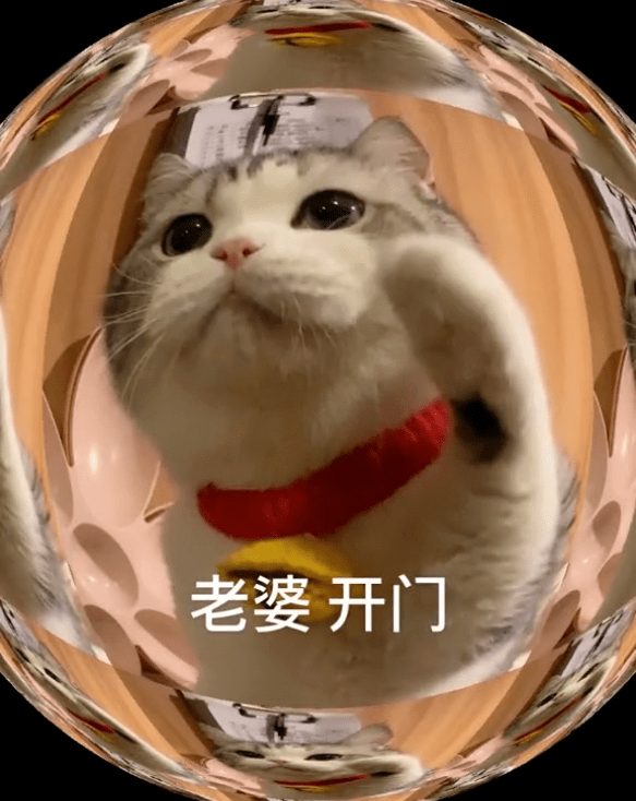 无内鬼,抓紧收图!