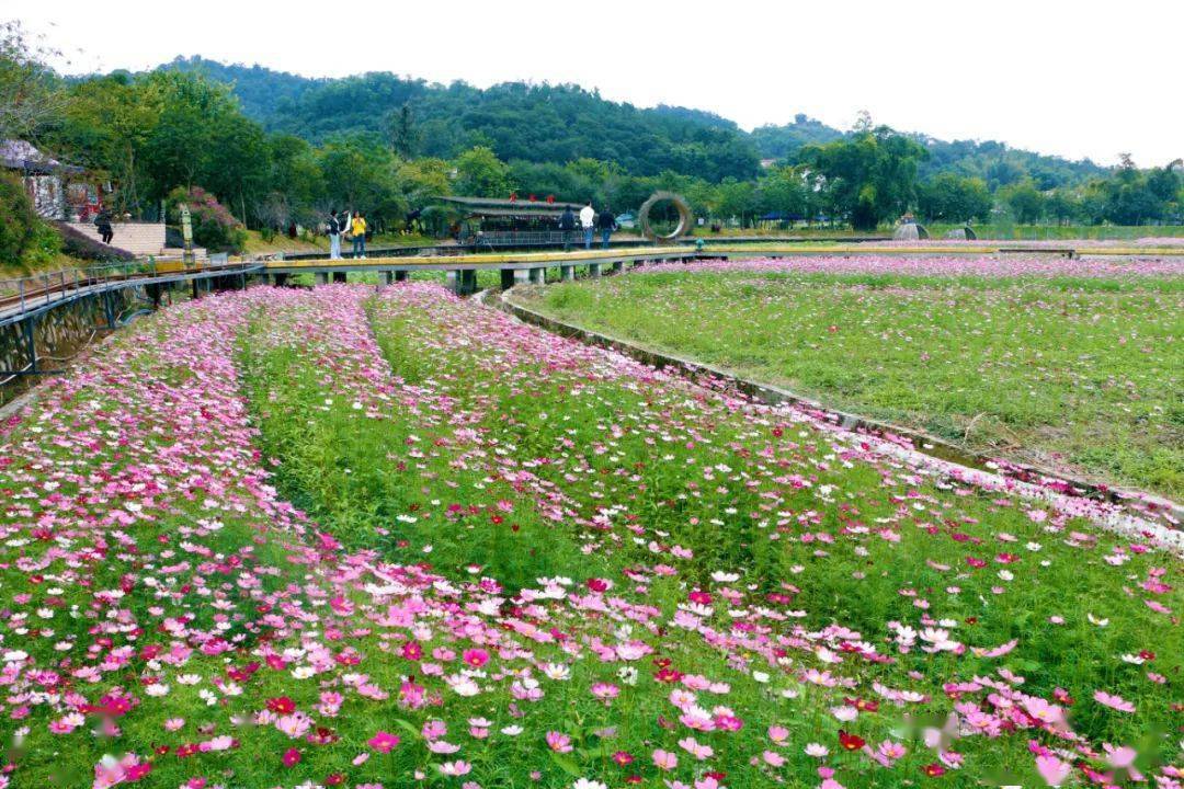 初冬的红山村醉人