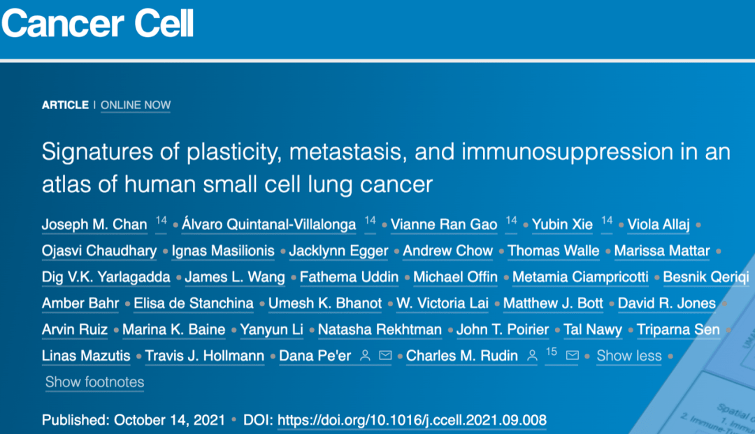 细胞|《细胞》子刊：“小恶魔”大起底！小细胞肺癌究竟为何如此凶残？