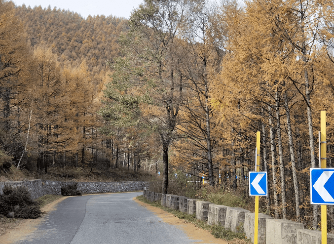 密云“最美乡村路”上榜了-密云旅游住宿推荐(图6)