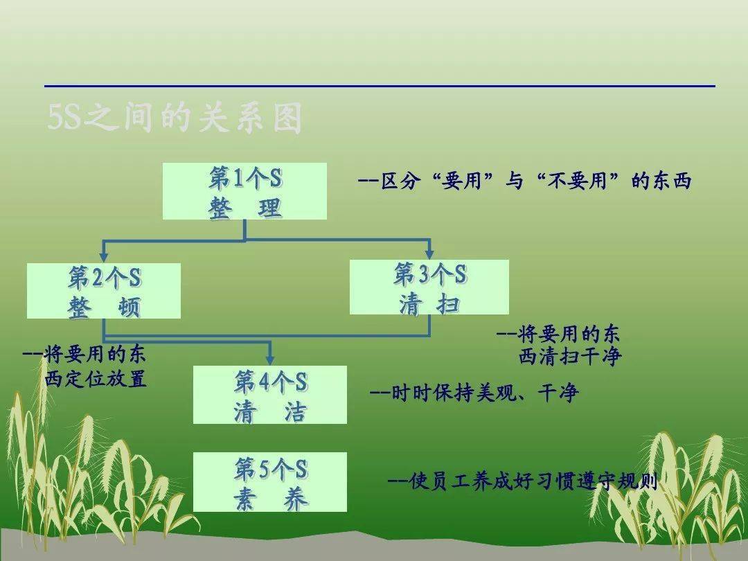 【培训】5S管理怎么做?这个PPT帮你全方位解锁!_搜狐汽车_搜狐网