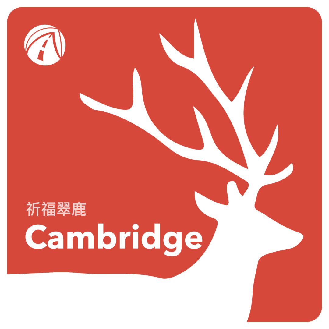 申请季必备翠鹿三件套学长学姐们用了都说灵验