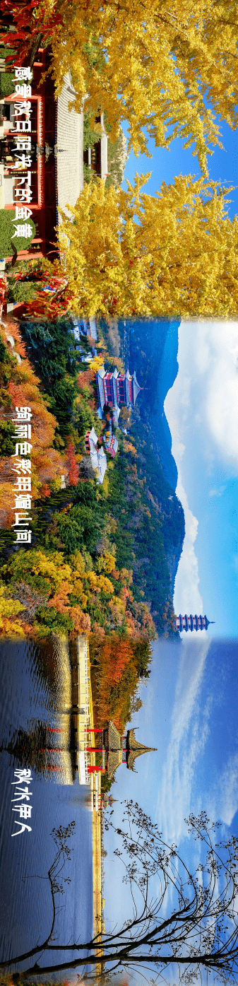 红叶|赤山《十里山海秋景图》