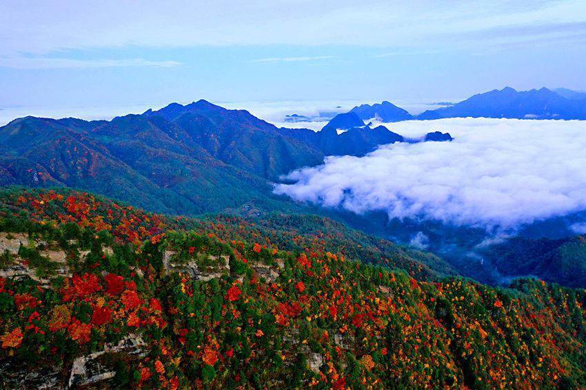 气势|四川宣汉：深秋大峡谷 漫山红叶醉游人