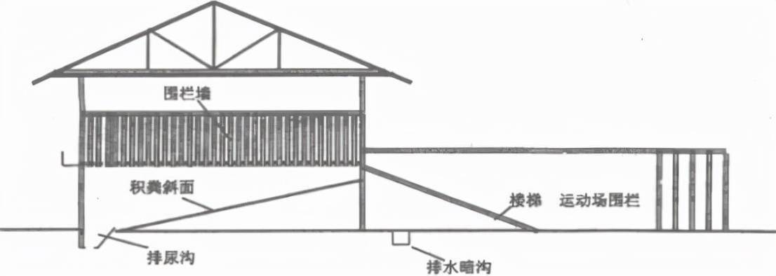 现代化羊舍建设设计图图片