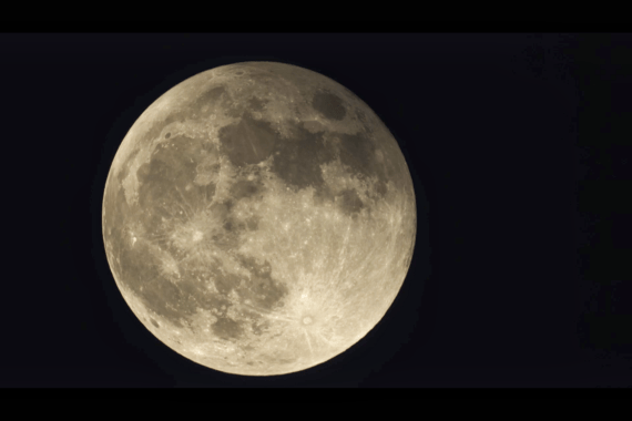 网上“升”明月 天涯共此“食”