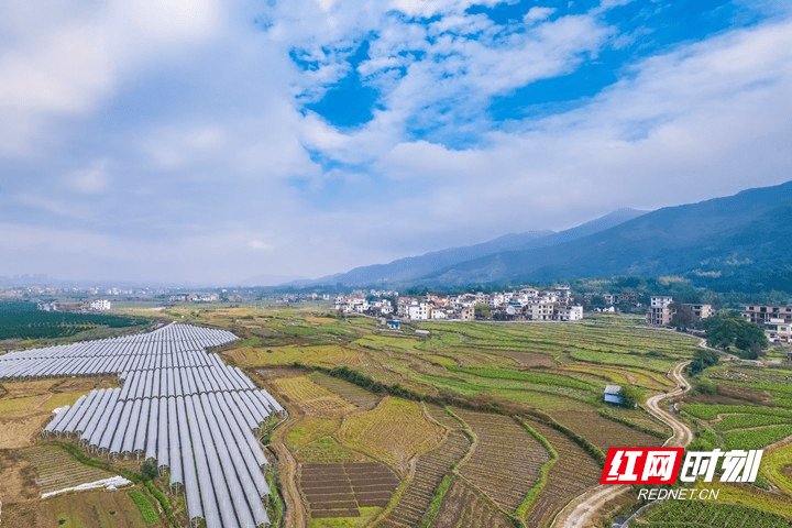 蓝山|湖南蓝山：初冬乡景