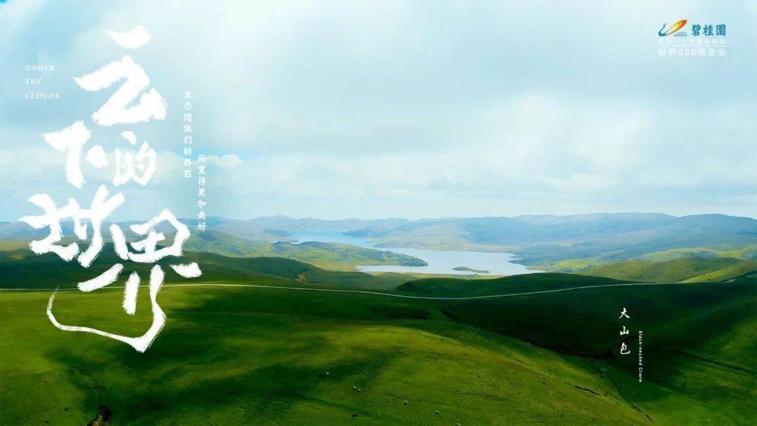 海报国产海报学起来！碧桂园新发布，野味儿十足