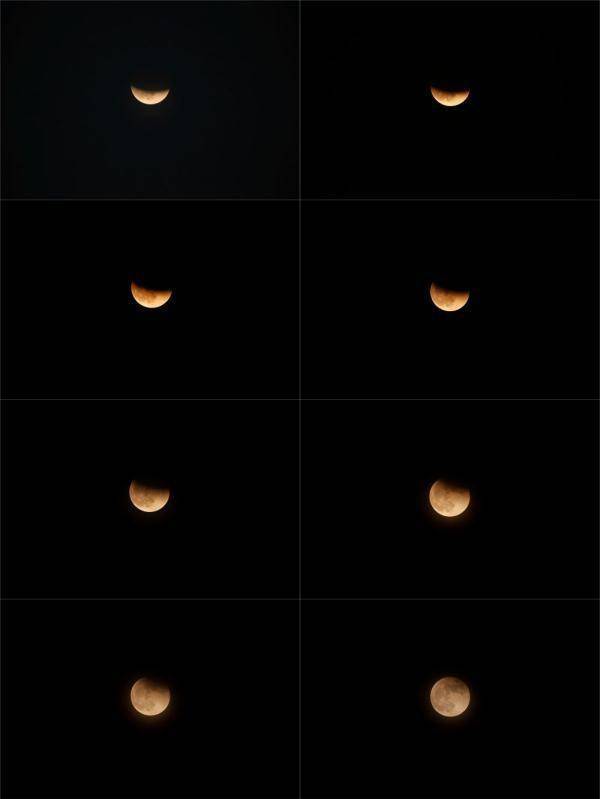 江文|天涯共此“食”，这些精彩大片请收好