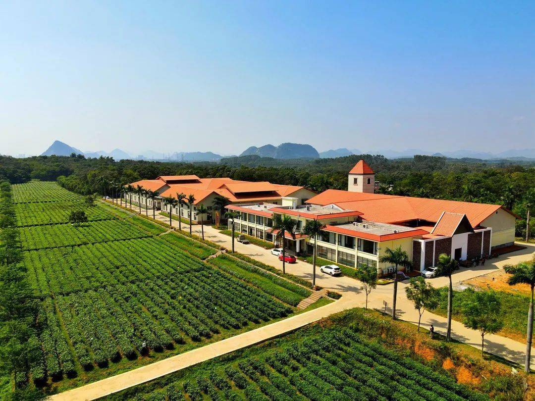 总部位于英德红茶原产地核心区英红镇的中国英红科创小镇,是科创小镇