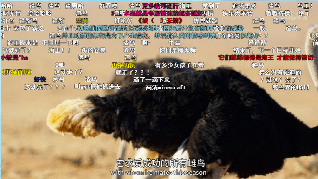 羽毛|豆瓣9.5,相亲节目已经卷成这样了