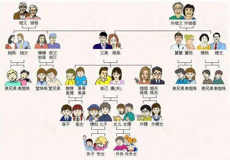 几千年的发展,不断充实,完善,从而创造了人记录自己生平世系及血缘关