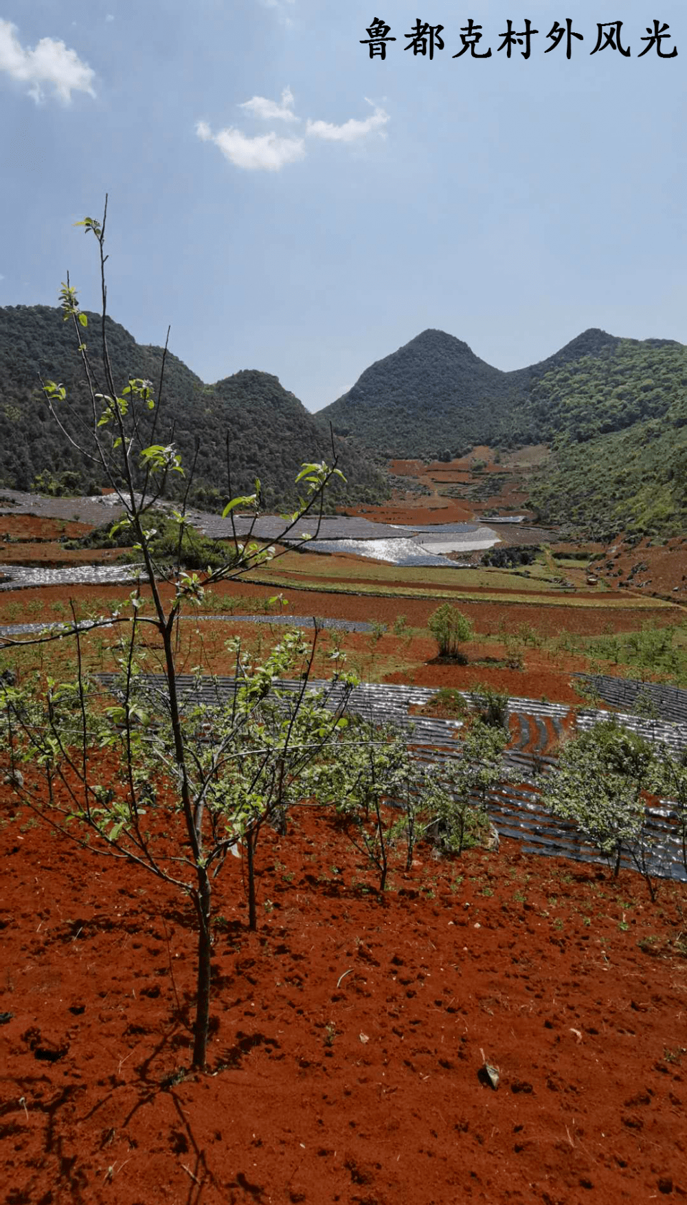 砚山这座百年教堂_鲁都克