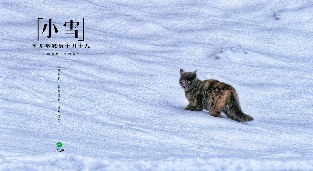 「峨眉山地震了吗」当“小雪”遭遇大雪时，峨眉山这一次是认真的！