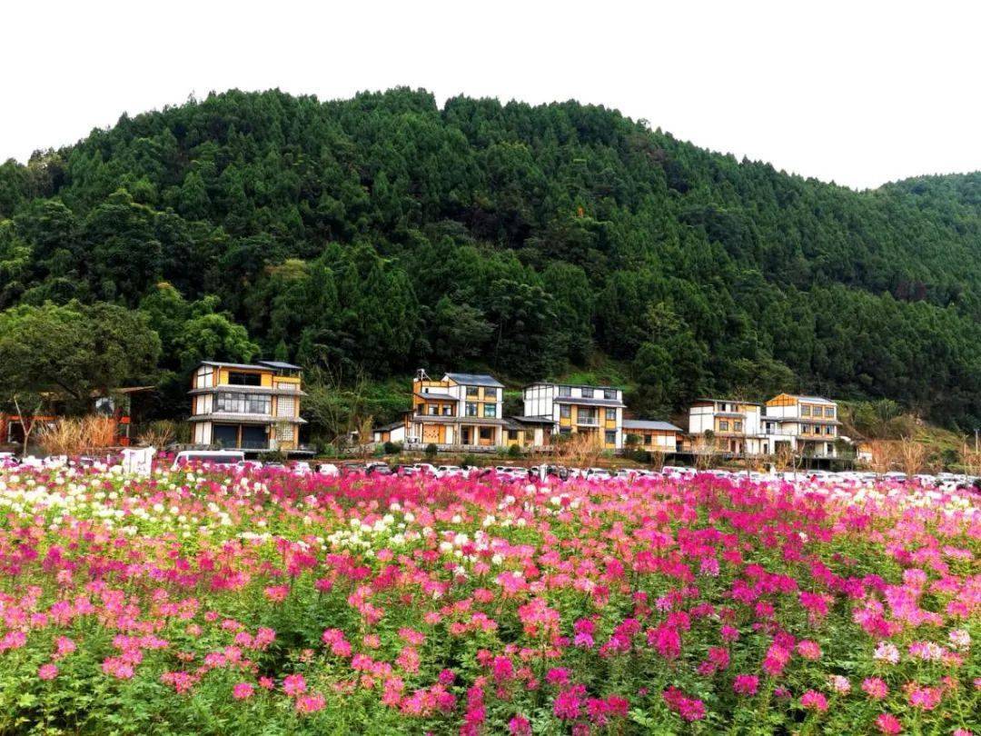 射洪之问问出射洪文旅的最美颜值