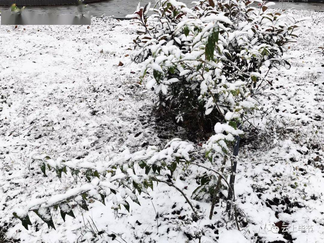 据贵州省气象局监测显示,11月21日08时至22日08时,全省阴天有小雨,省