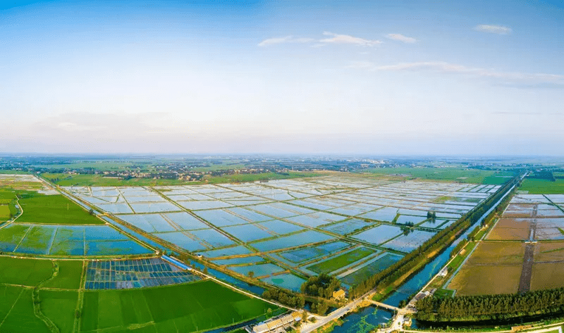 监利入选国家级首批农业现代化示范区湖北省仅三家