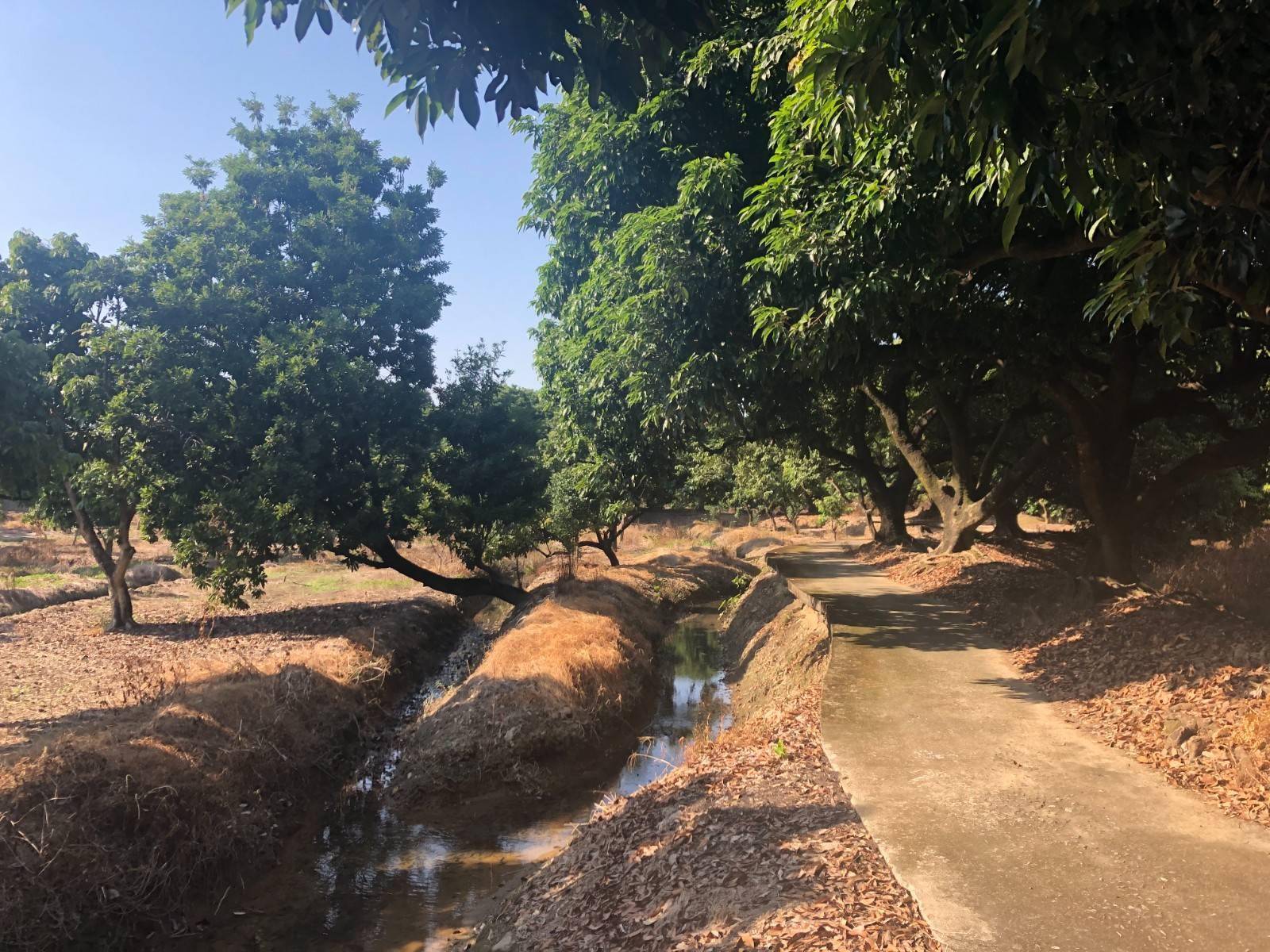 "高畦深沟"是什么?让我们来看看……_农业