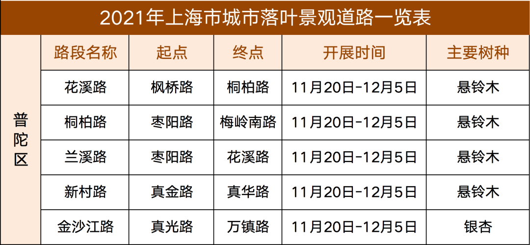 出片率100%！还不快来普陀这些地方赏落叶景观！