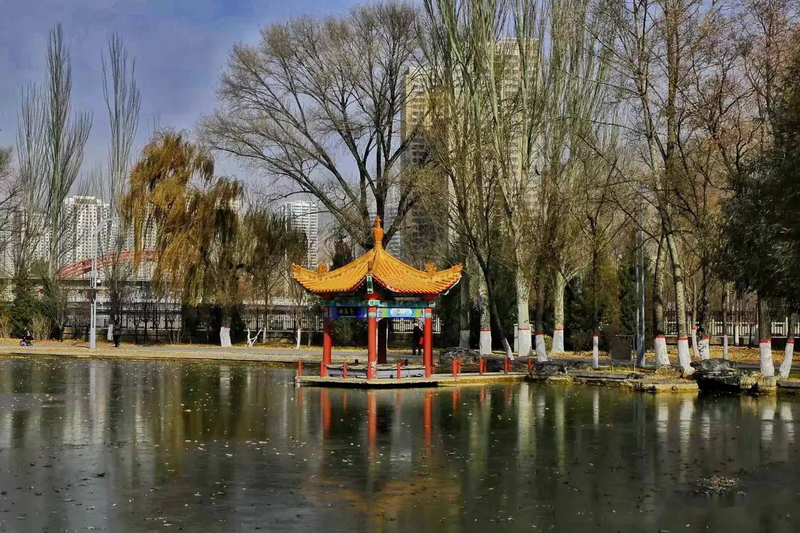 冬天的西宁人民公园是那么的静,那么的美,冬天的美景是说不完的_季节