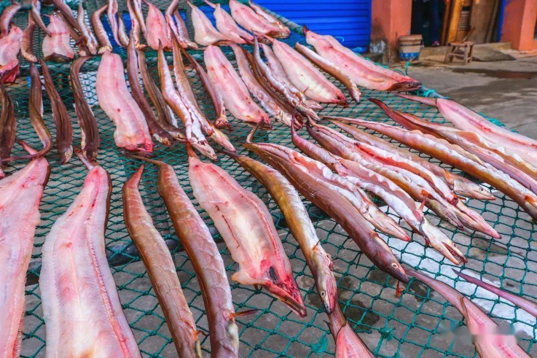 凤尾鱼鲞鮟鱇鱼鲞小黄鱼鲞玉秃鲞鲳鱼鲞鮸鱼鲞&鳗鲞黄鱼鲞&鳗鲞马鲛鱼