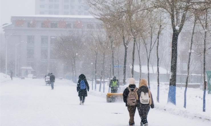 白雪|【雪落象牙塔】哈工程：浪漫多情诗意浓