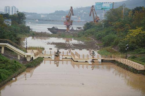 郭家沱旱河库湾建起湿地公园，即将开放