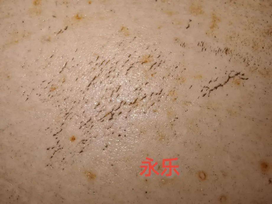 一日一物麻仓土胎质特征