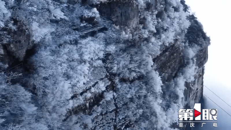 受降雪和冷空气影响 金佛山暂时关闭部分景点