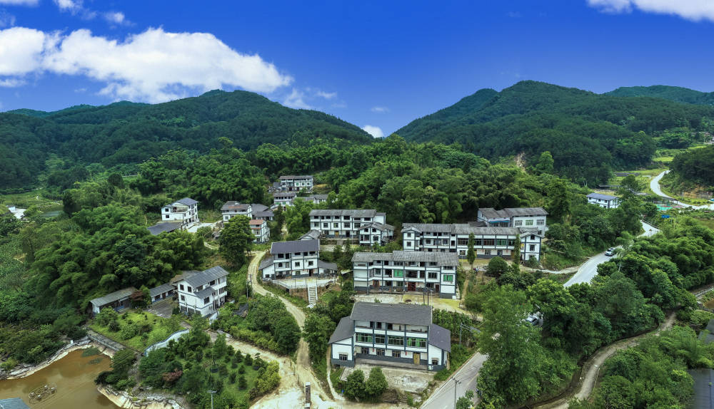 连日来,渝北区大湾镇开展党委理论学习中心组和支部主题党日集中学习