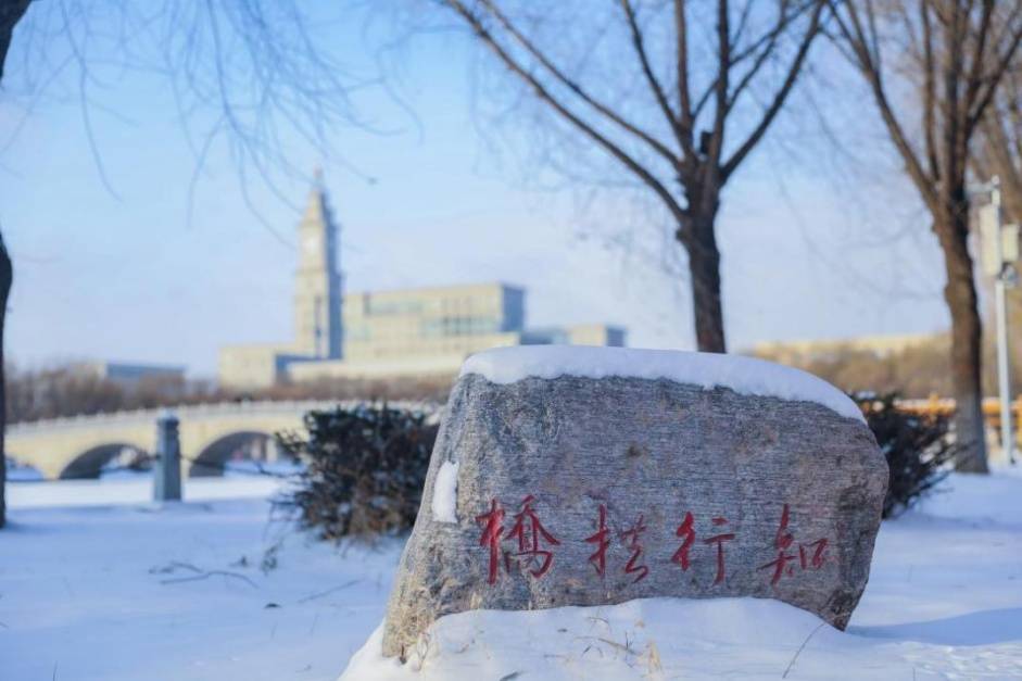 冬日|【雪落象牙塔】哈师大：冰天雪地换新颜