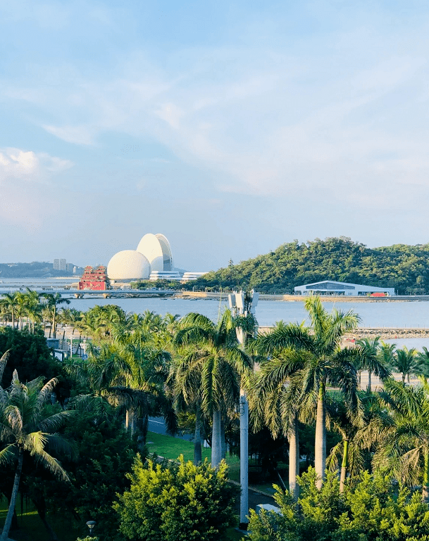 贝生于海"宛若海上明珠 一大一小日月贝哪怕昼夜更替,我也依然爱你一
