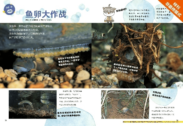 中国陪伴小学生成长, 开启自主阅读, 这本杂志令孩子爱不释手