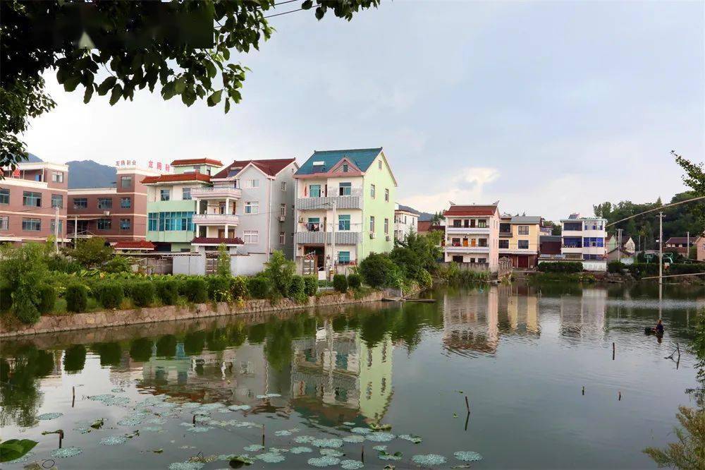 径游村通过验收浦阳第三批美丽乡村提升村完美收官