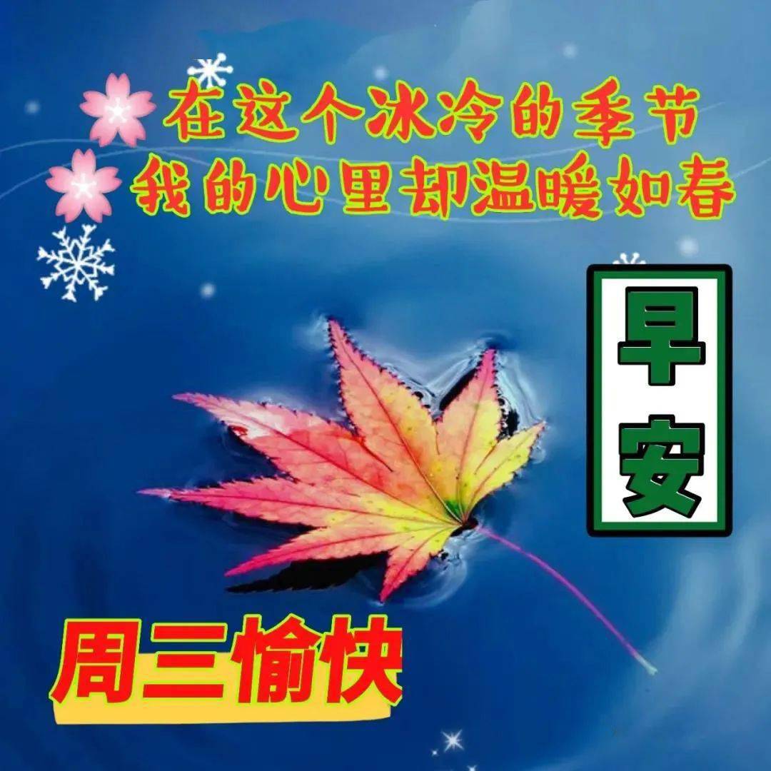 冬天最新版唯美早上好圖片表情包微信群打招呼早上好圖片