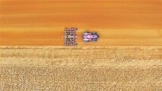 碧桂园万亩智慧农业园：积极探索现代科技农业发展新模式