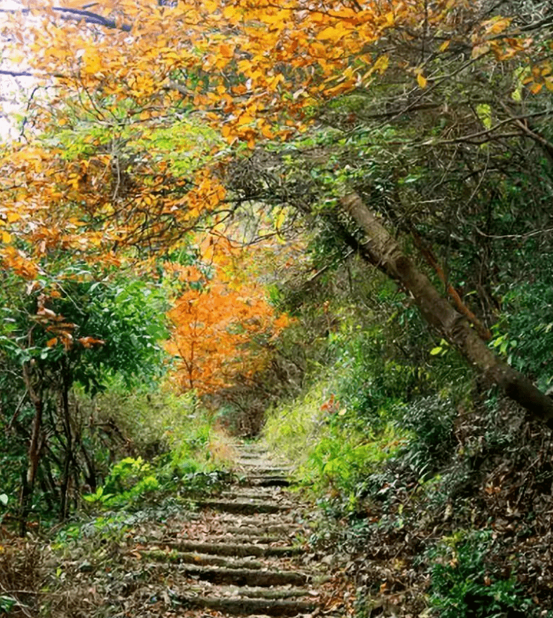 苍岭古道 距离近云丽舍约45分钟车程