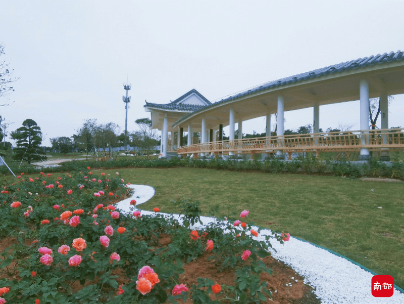 活动区|松岗街道五指耙花卉主题公园即将开园