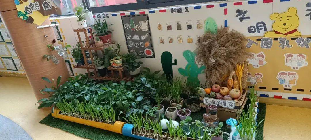 幼兒園環創設計之植物區角