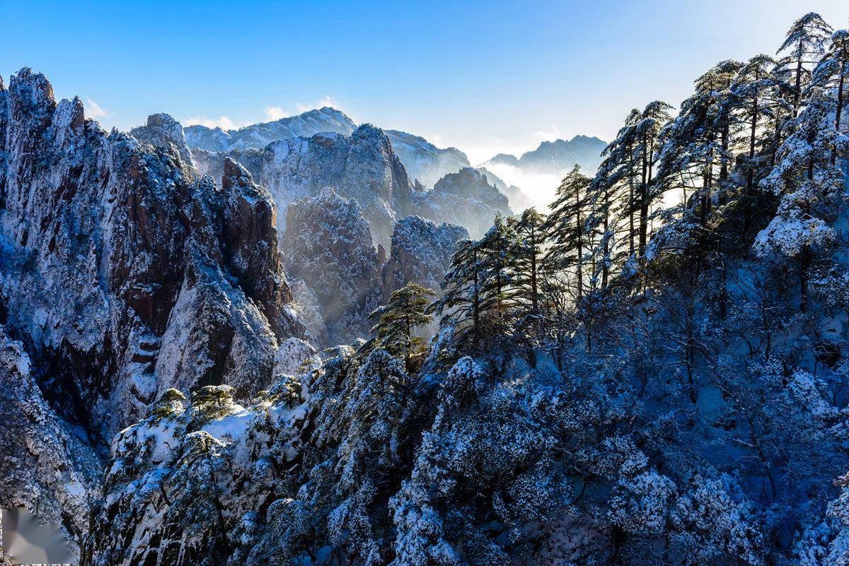 黄山风景区雪景(图源:新浪安徽)